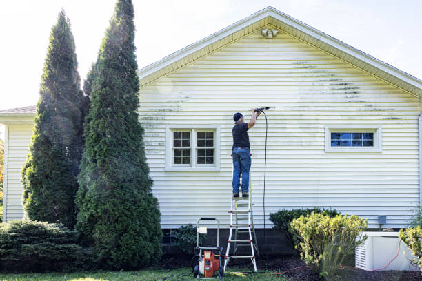 Best Sidewalk and Walkway Pressure Cleaning in Hazlehurst, MS